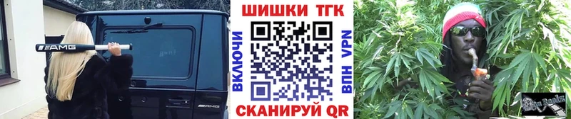 Лсд 25 Бийск