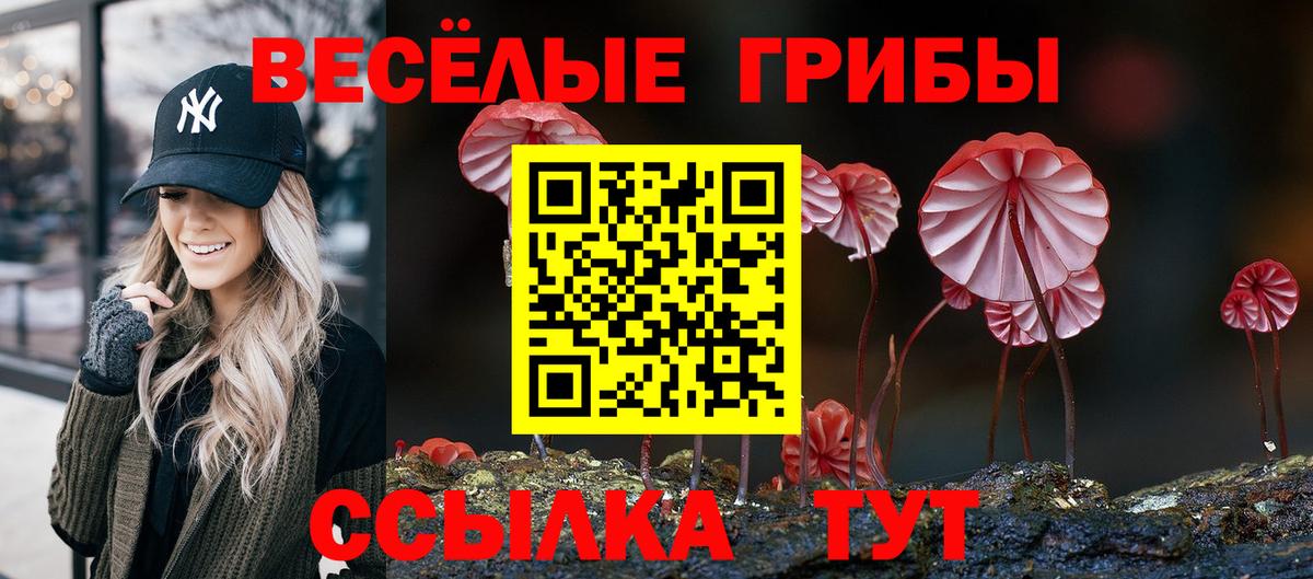Бийск  Галлюциногенные грибы MAGIC MUSHROOMS  Вход с VPN  Псилоцибиновые грибы прущие грибы 