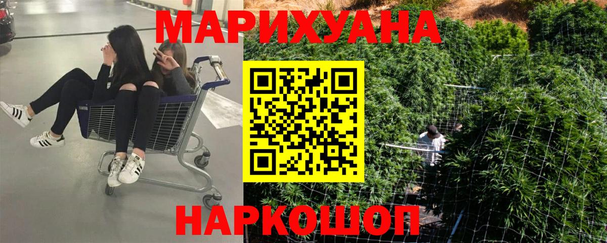 Марихуана сатива Бийск